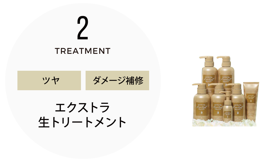 エクストラトリートメント